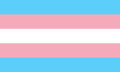 Trans Flag